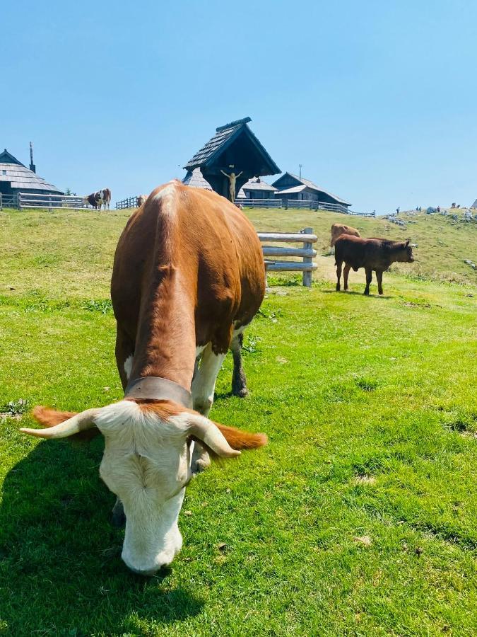 Velika Planina Koca Kekec Villa Stahovica Buitenkant foto