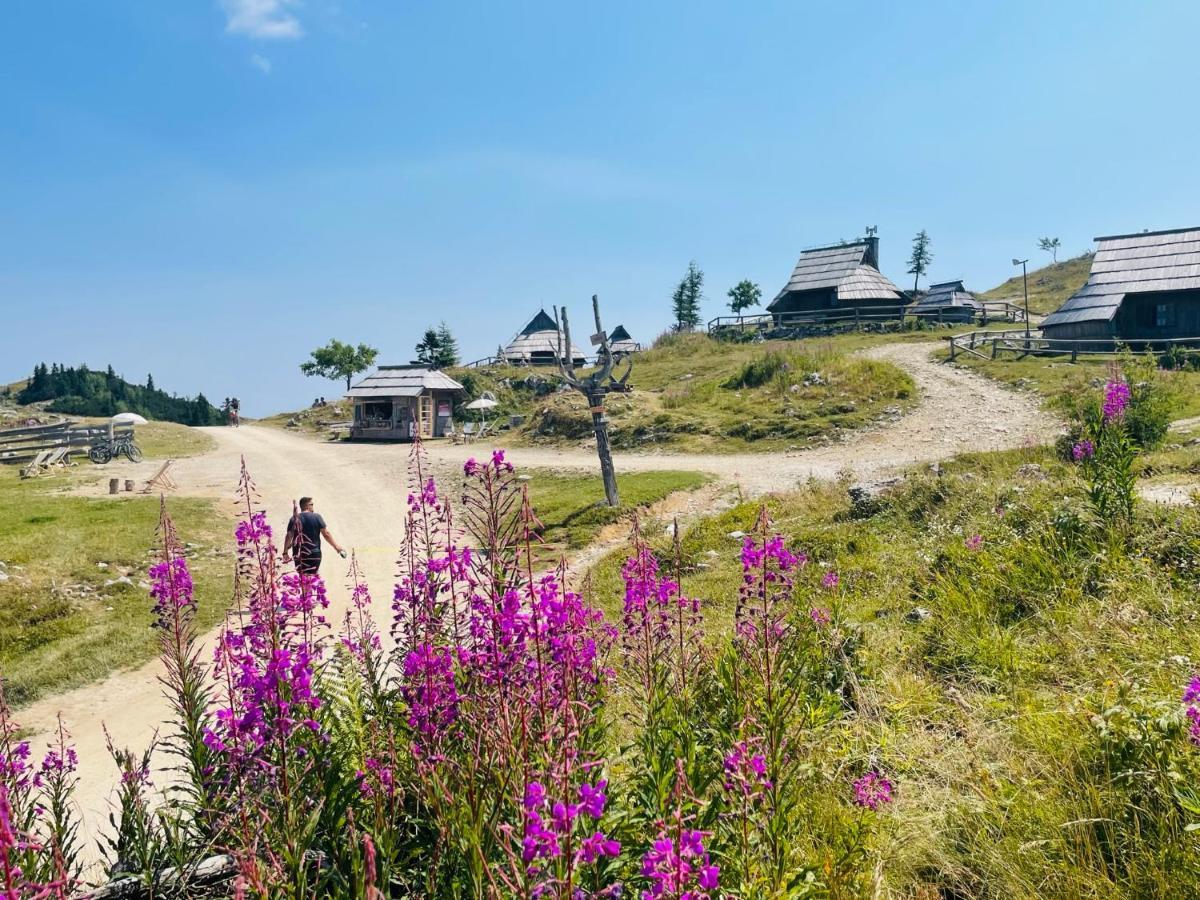 Velika Planina Koca Kekec Villa Stahovica Buitenkant foto